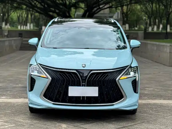 Dongfeng Popular Yacht 2022