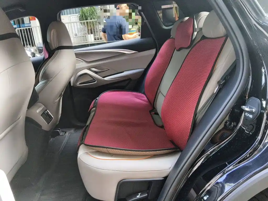 BYD Song Pro New Energy 2024 — фото 18