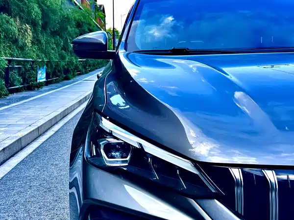 Geely Binrui 2023