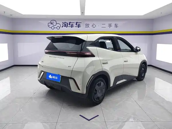 BYD Seagull 2024