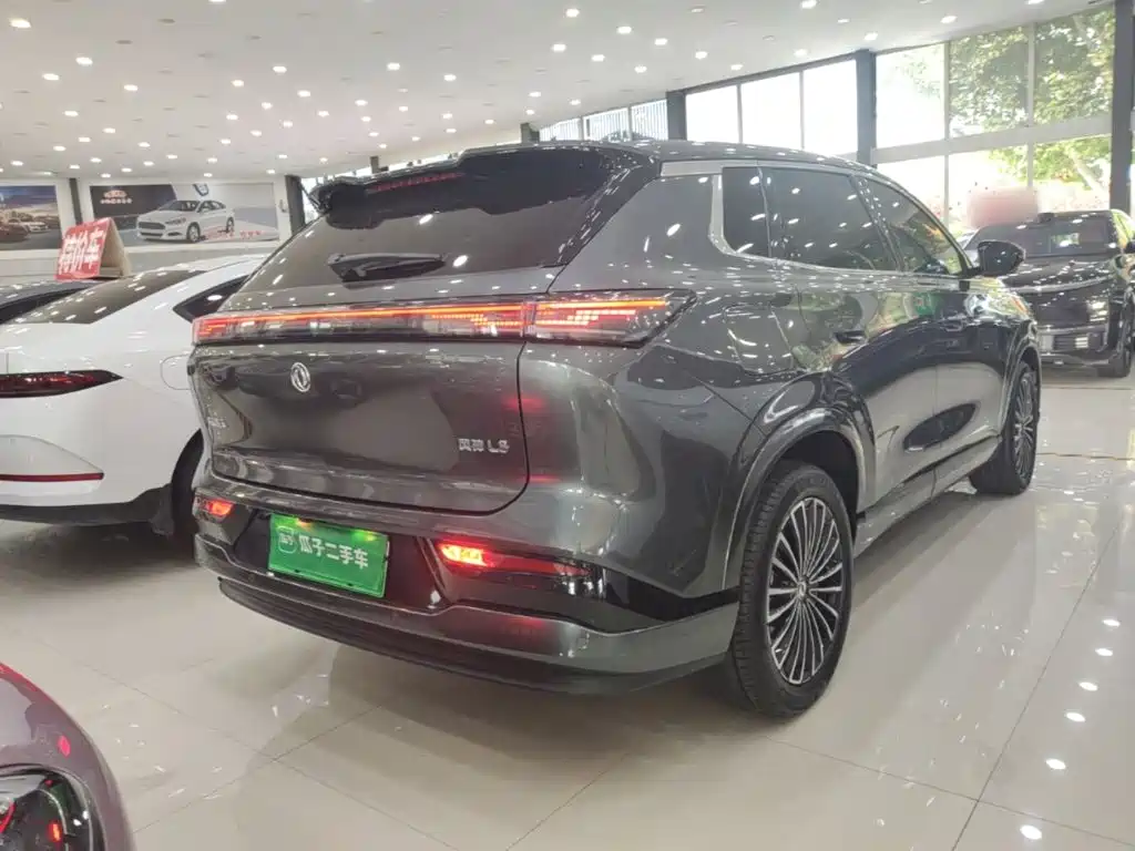 Dongfeng Fengshen L8 2025 — фото 7