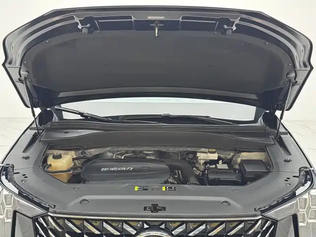 GAC Motor Trumpchi GS8 2022 — фото 20