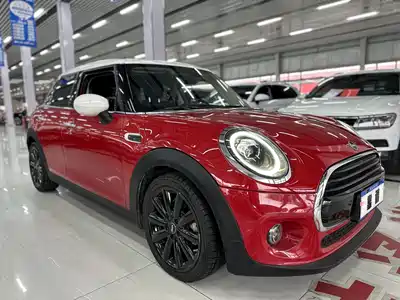 MINI MINI 2020