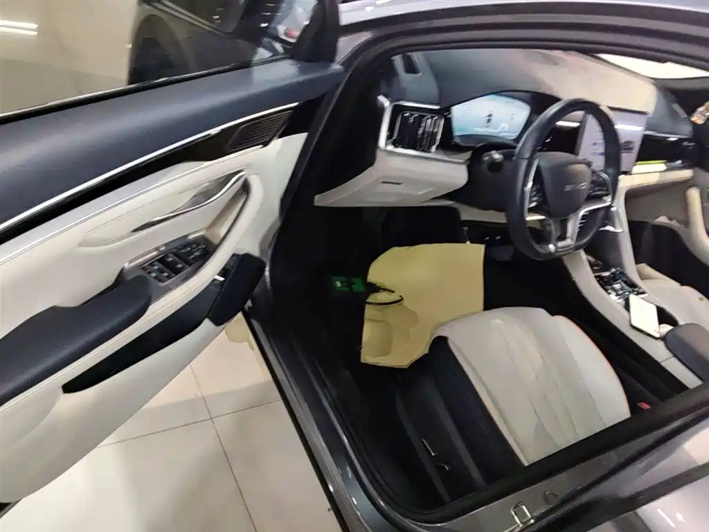 BYD PLUS New Energy 2024 — фото 16