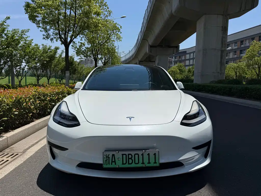 Tesla Model 3 2020 — фото 2