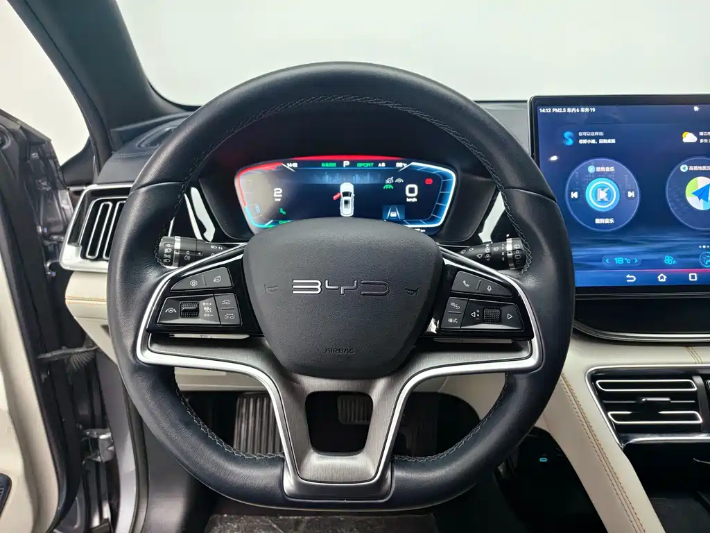 BYD Song PLUS New Energy 2023 — фото 15