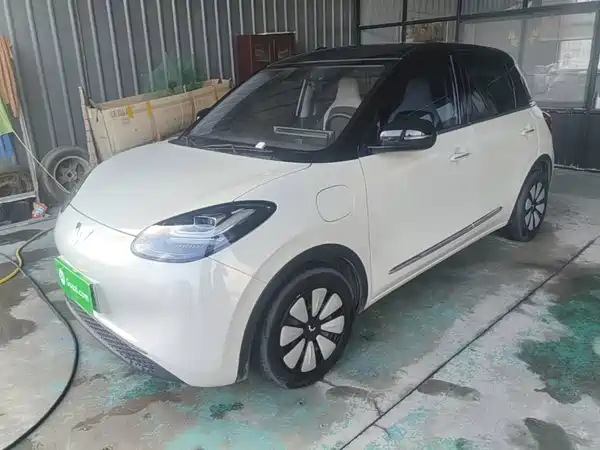 Wuling Bingo 2024