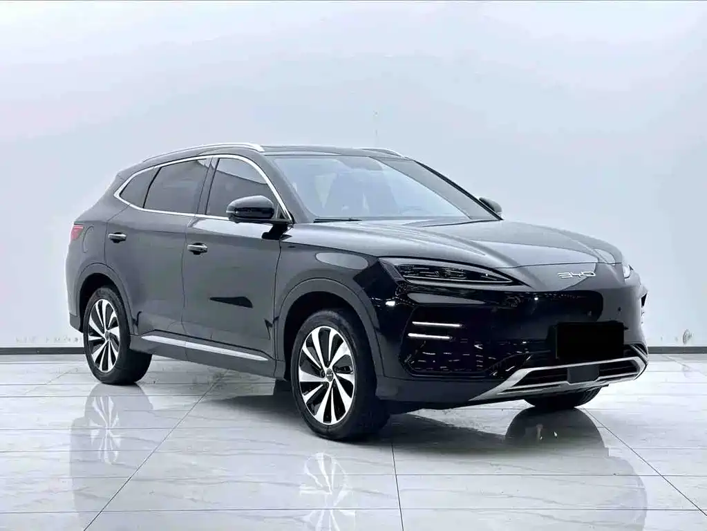 BYD PLUS New Energy 2024 — фото 3