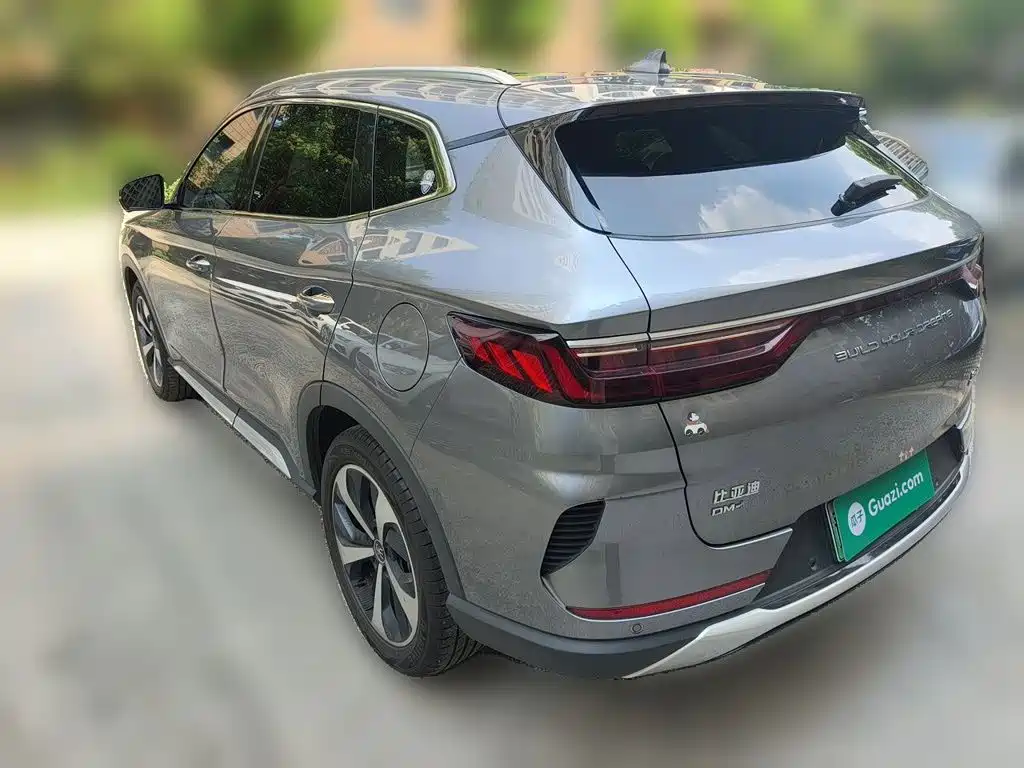 BYD Song PLUS New Energy 2021 — фото 25