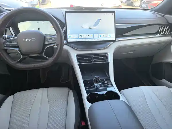 BYD Song PLUS New Energy 2025