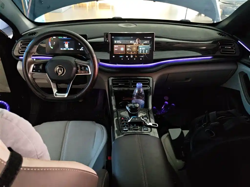 BYD Qin PLUS 2024 — фото 10