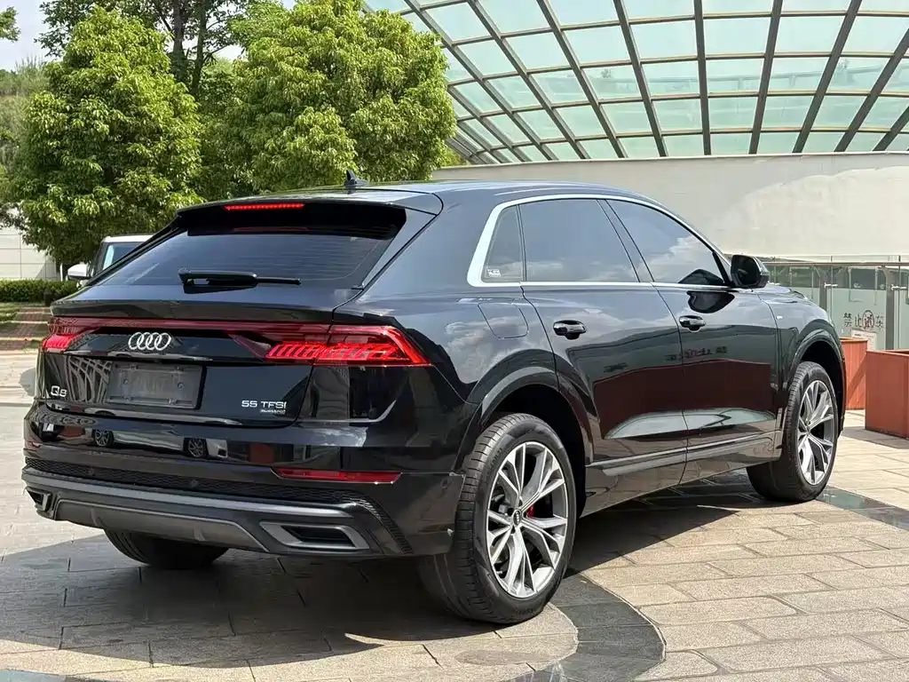 Audi Q8 2021 — фото 9