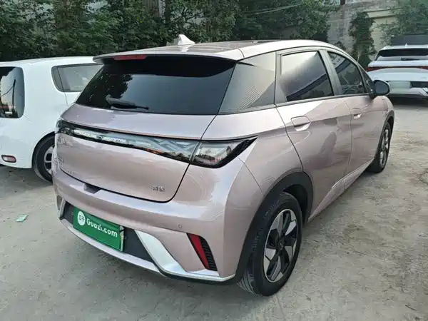 BYD Dolphin 2024
