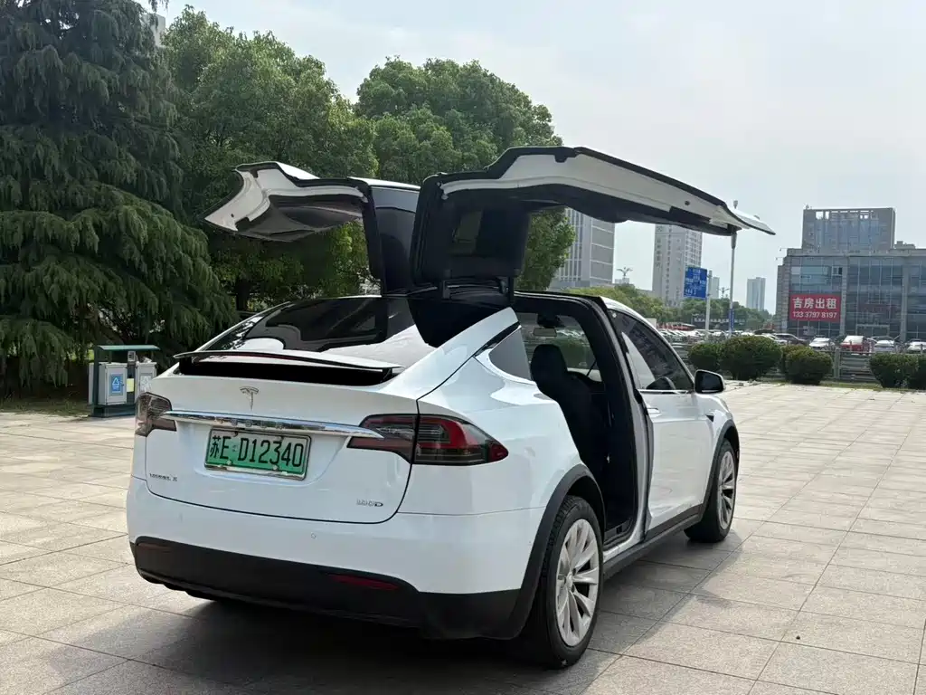Tesla Model X 2019 — фото 7