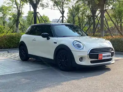 MINI MINI 2020
