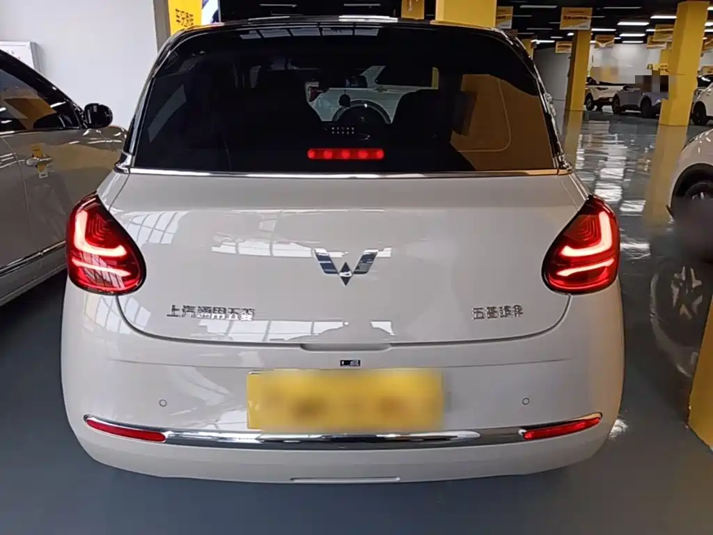 Wuling Bingo 2024