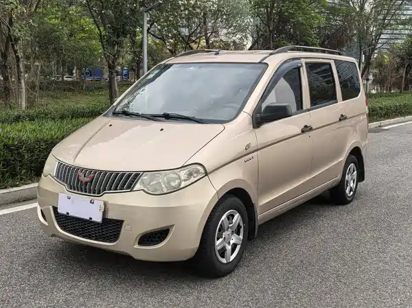 Wuling Hongguang 2014