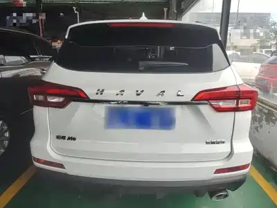 Haval M6 2019