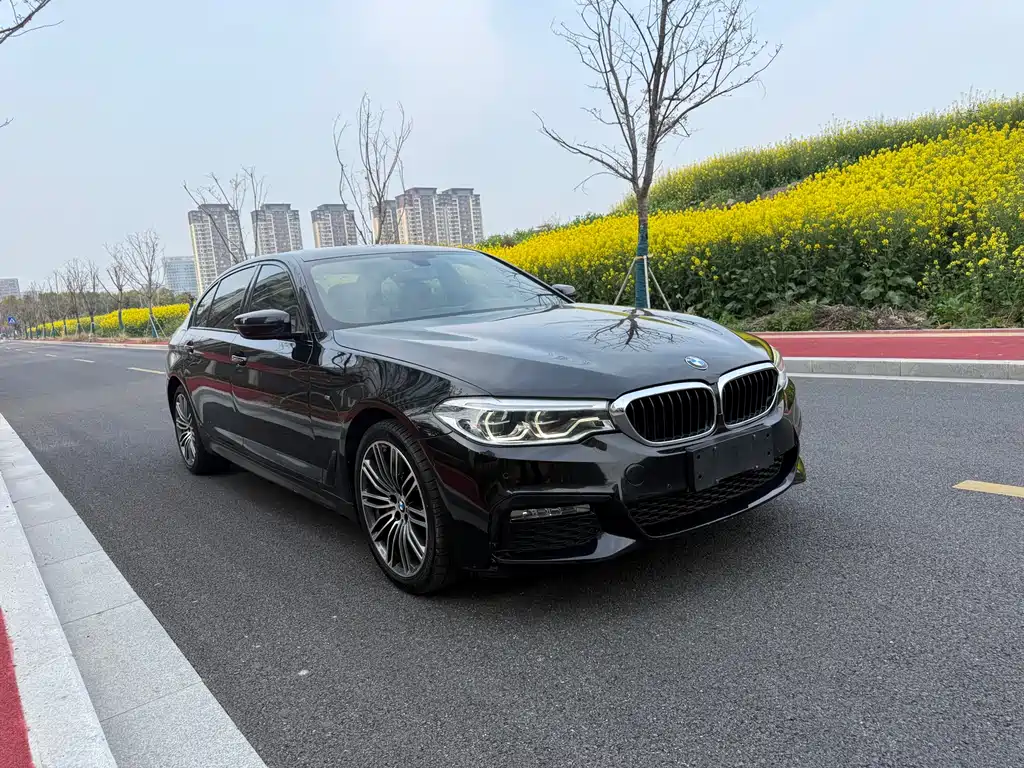 BMW 5 Series 2018 — фото 4