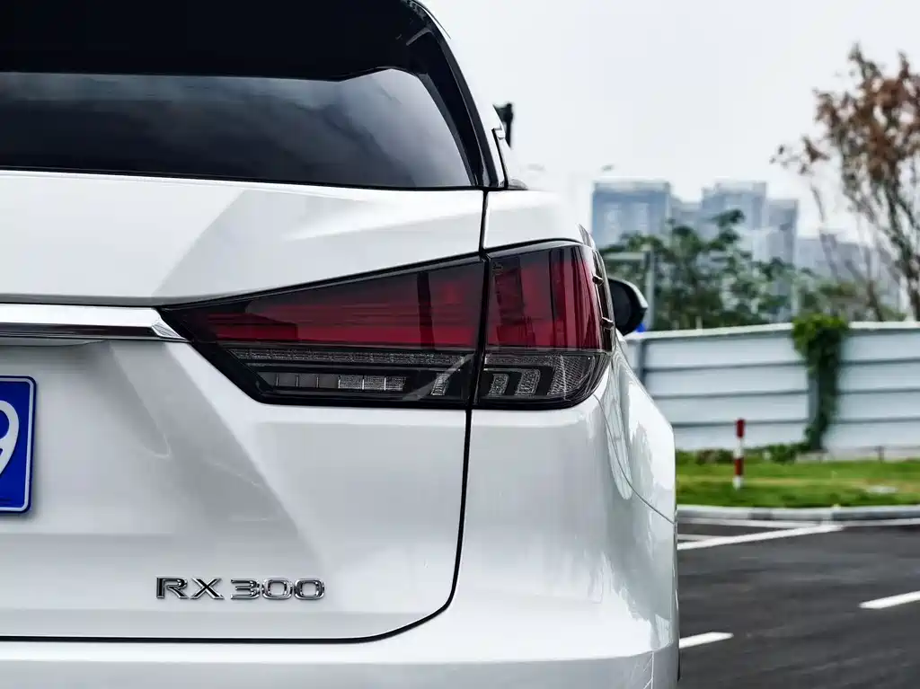 Lexus RX 2022 — фото 14