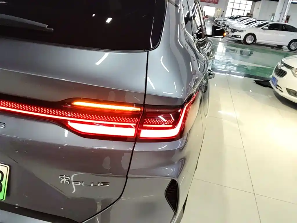BYD PLUS New Energy 2024 — фото 8