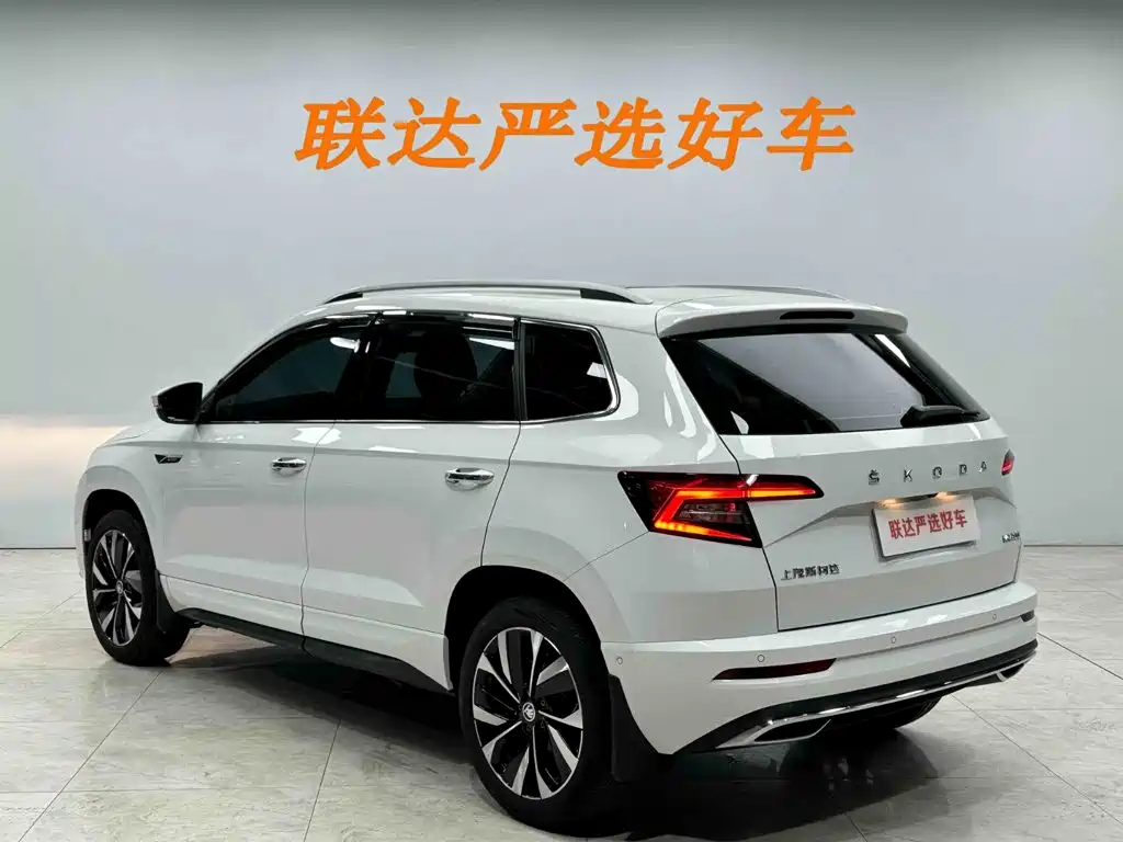 Skoda Karoq 2024 — фото 24