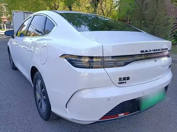 BYD Destroyer 05 2024