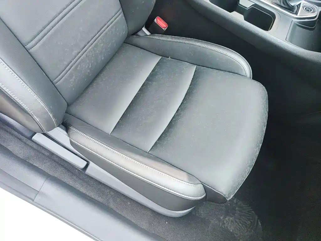 Nissan Sylphy 2020 — фото 25