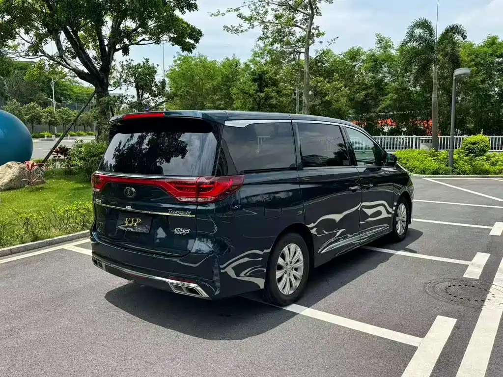 GAC Motor Trumpchi M8 2020 — фото 9