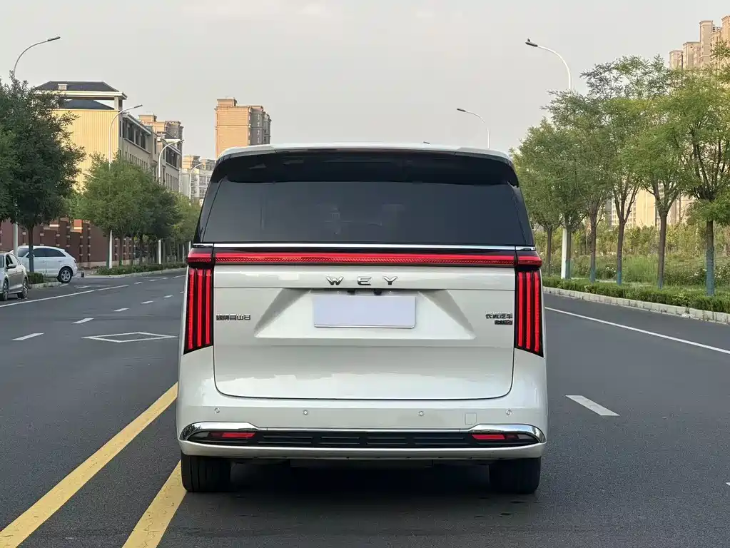 Wey Gaoshan 2025
