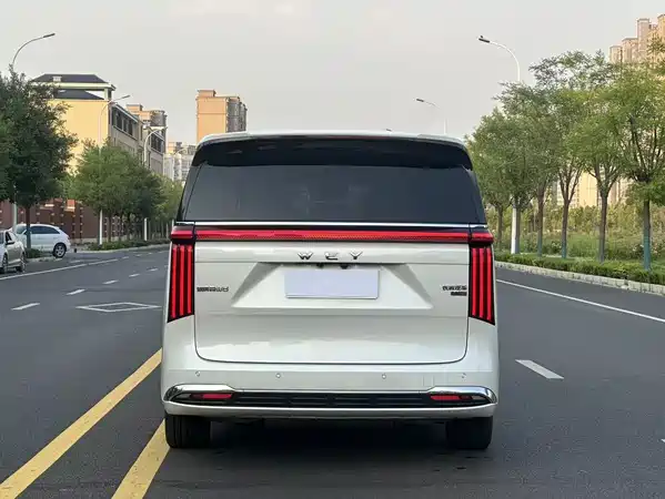 Wey Wey 2025