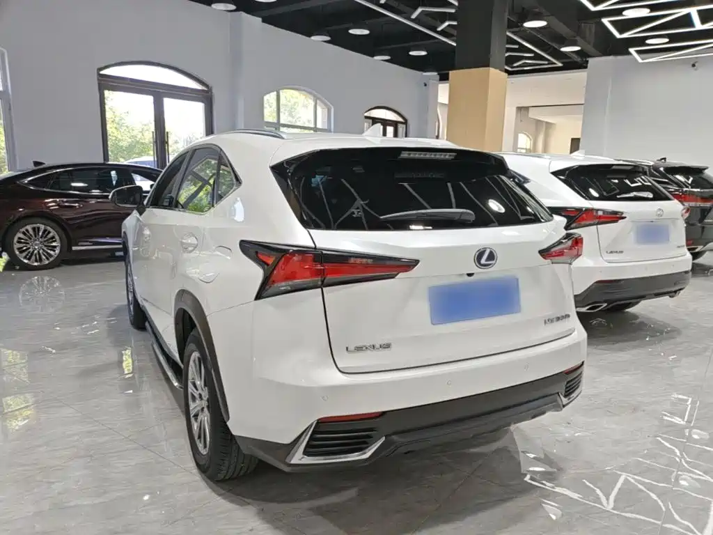Lexus NX 2021 — фото 23