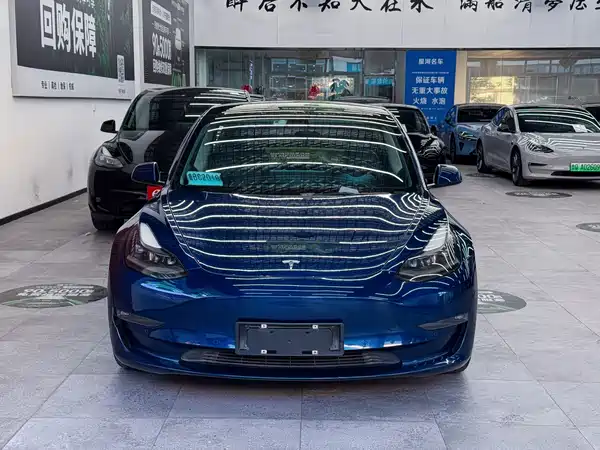 Tesla Model 3 2021