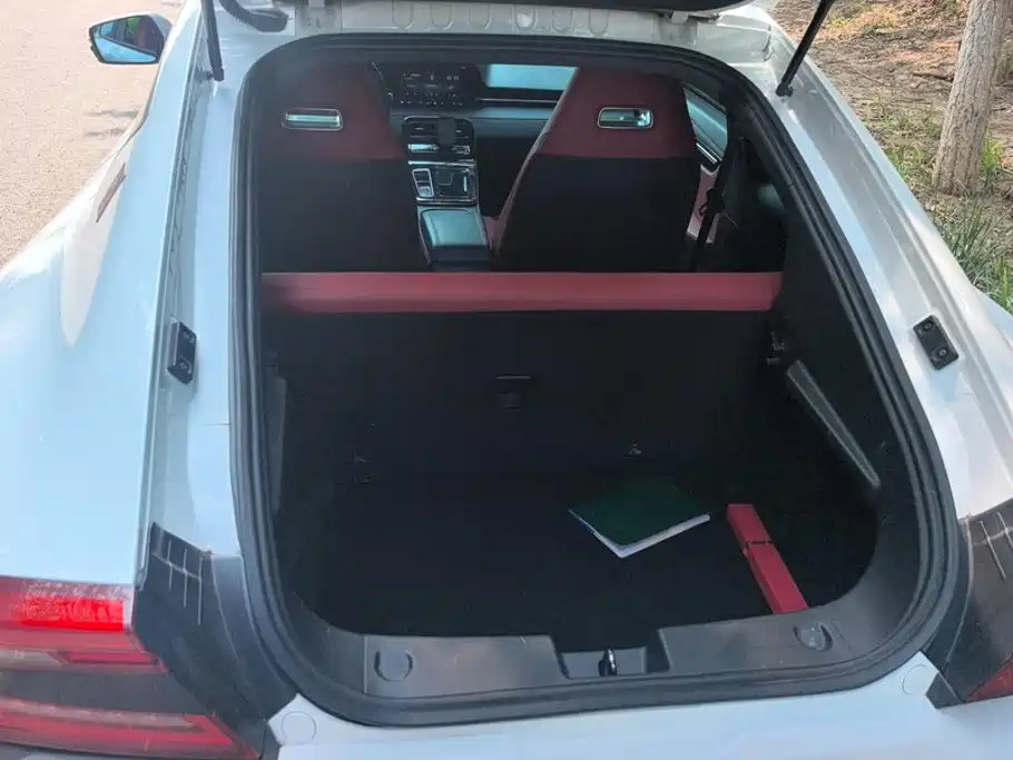 Leapmotor Leap Running S01 2019