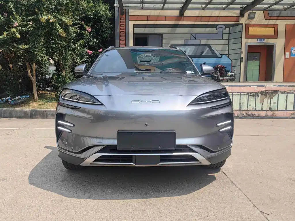 BYD Song PLUS New Energy 2024 — фото 2