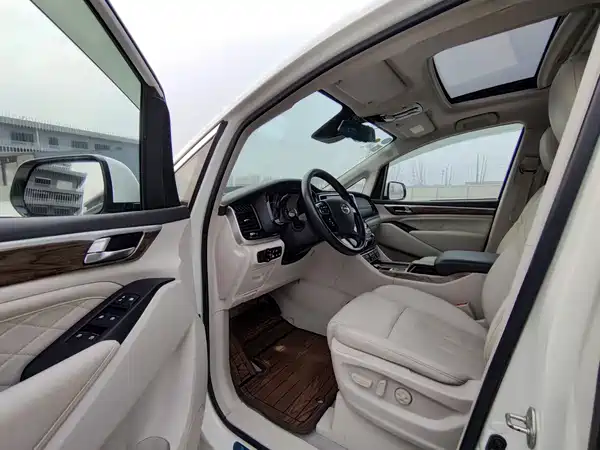 GAC Trumpchi M8 2019