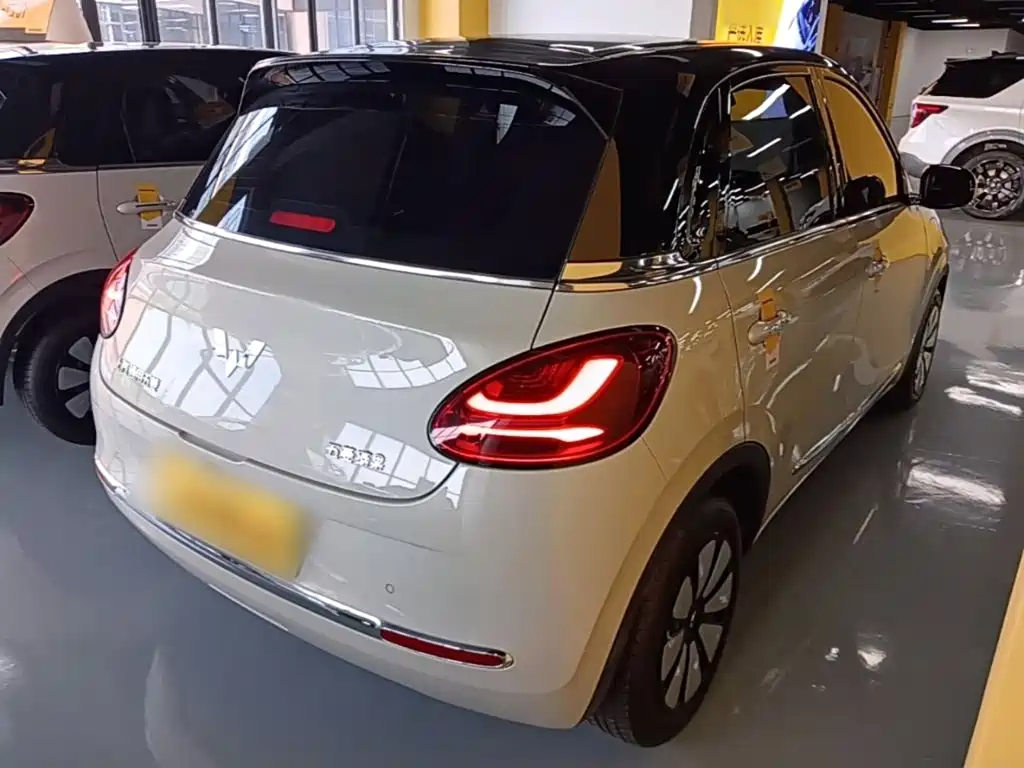Wuling Bingo 2024
