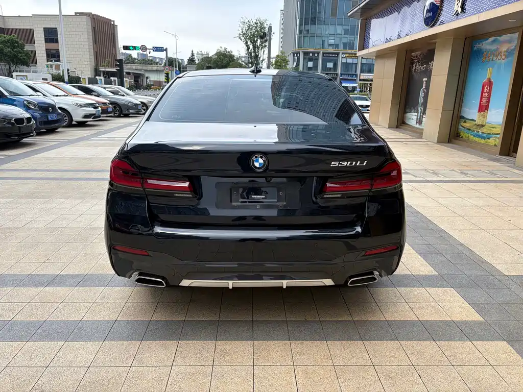 BMW 5 Series 2021