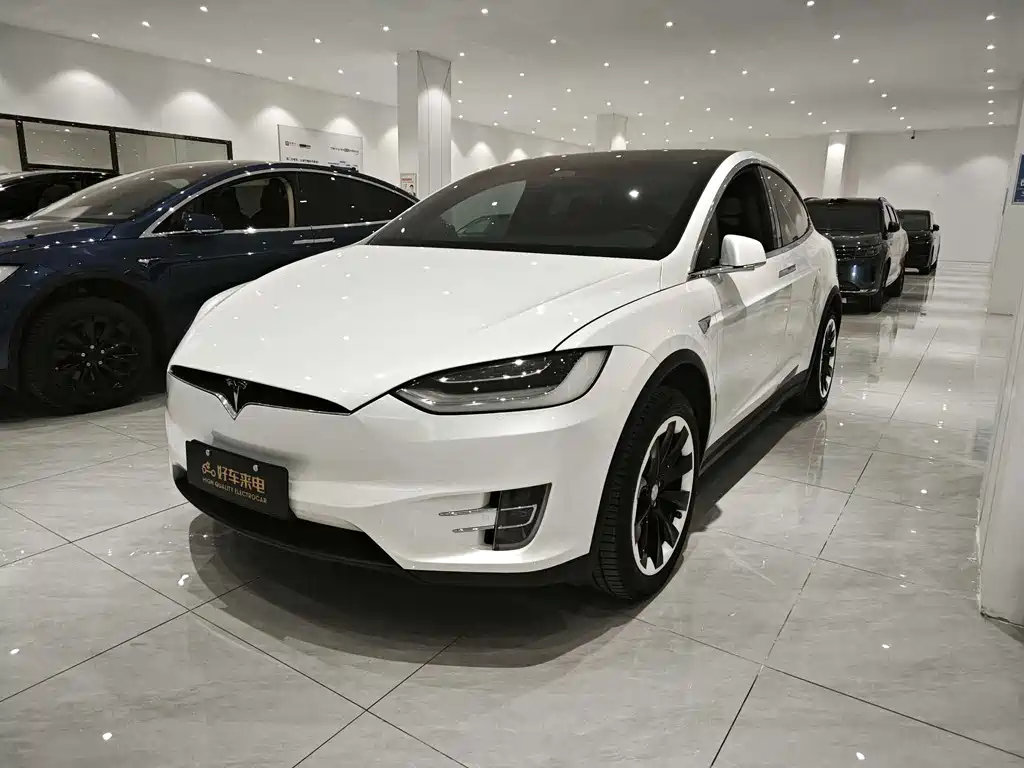 Tesla Model X 2020 — фото 3