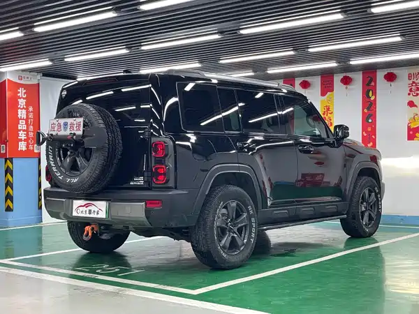 Haval Raptors New Energy 2024