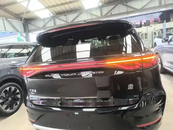 BYD Tang New Energy 2024