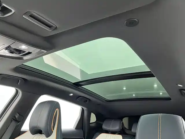 BYD PLUS New Energy 2023 — фото 18