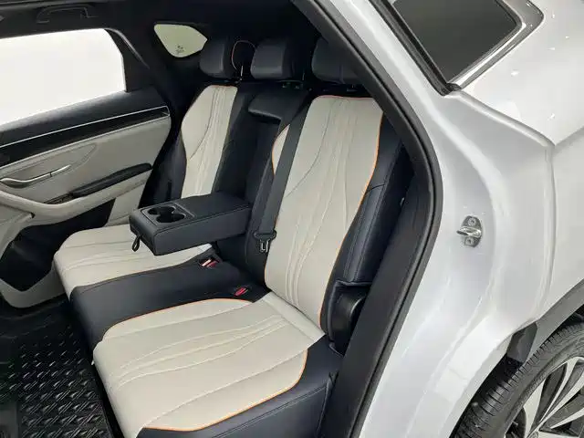BYD PLUS New Energy 2023 — фото 22