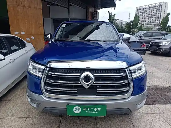 Great Wall Poer 2020