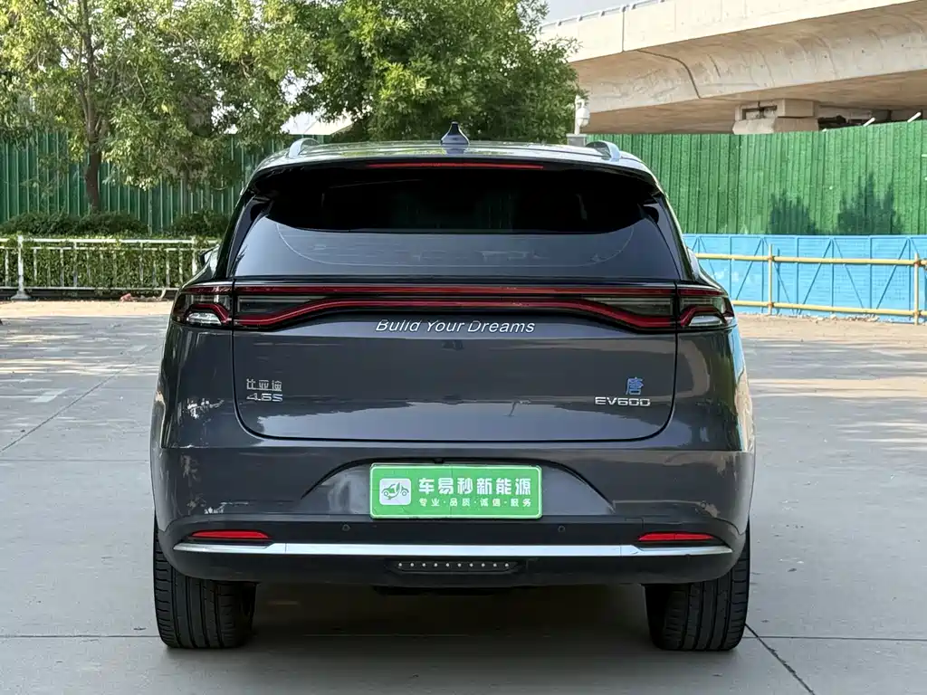 BYD Tang New Energy 2019 — фото 4