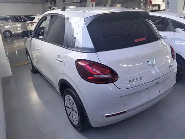 Wuling Bingo 2024