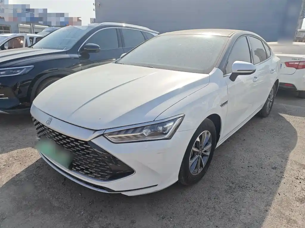 BYD Qin PLUS 2024 — фото 1