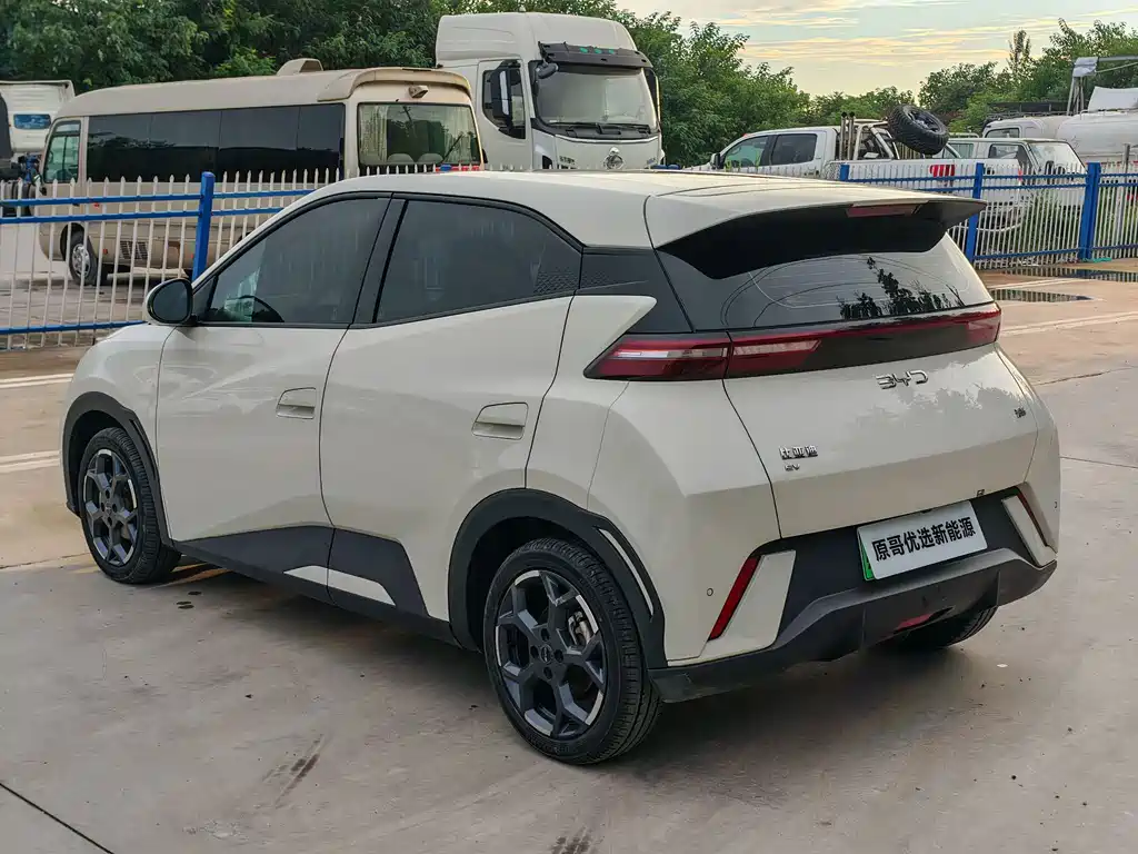 BYD Seagull 2024