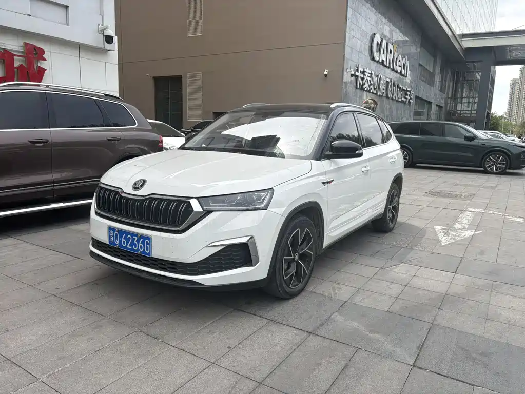 Skoda Kamiq 2022 — фото 1