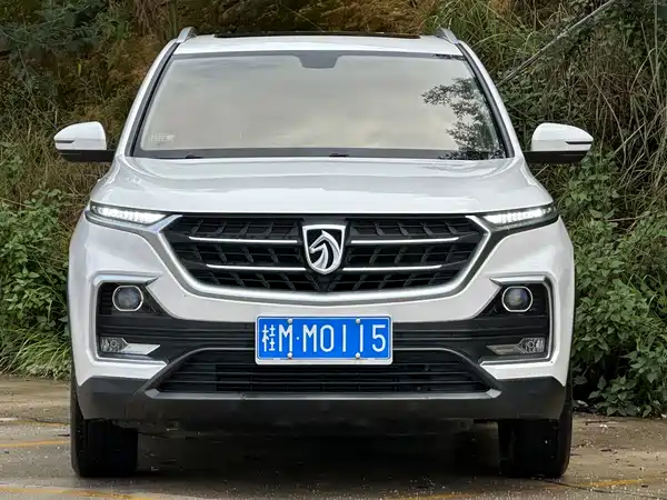 Baojun 530 2019